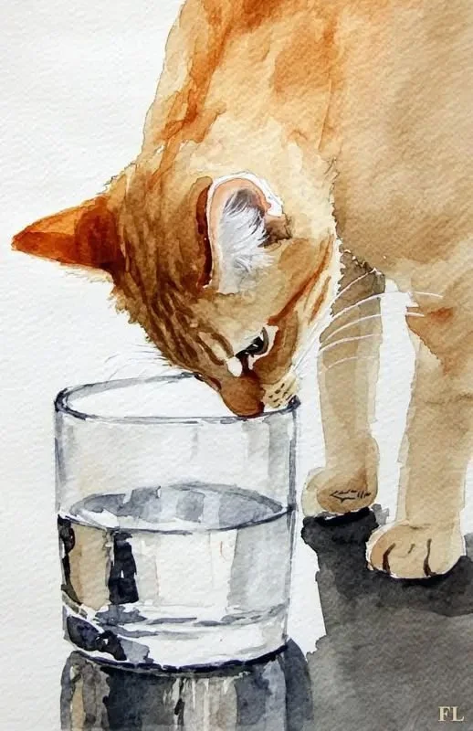 h20 cat drinking water.jpg