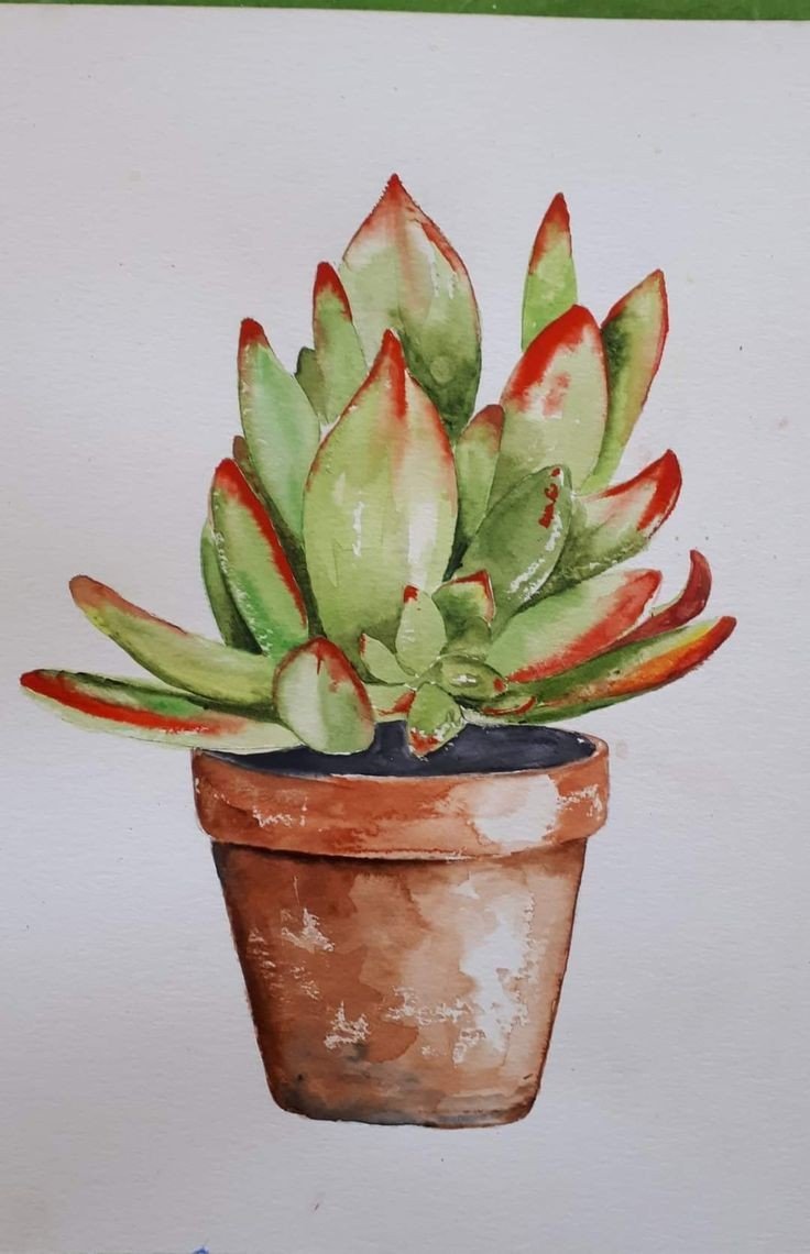 h20 succulent in pot.jpg