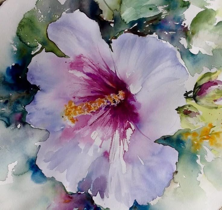 h20 hibiscus.jpg