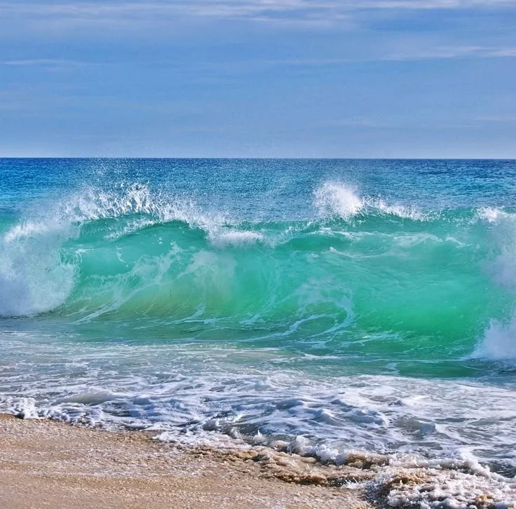 June - Monthly Acrylic painting class - 12.30pm-2.30pm Tuesdays @ 1459 Humboldt Rd Chico.