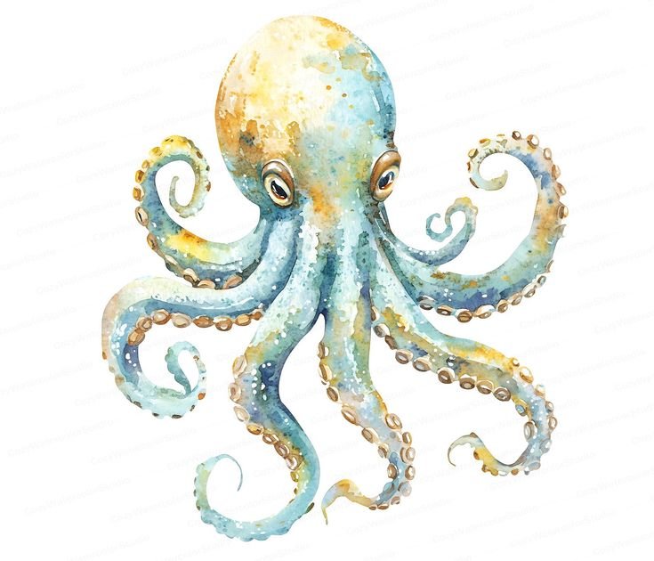 Zoom! Zoom! Tuesday October 13th at 6.30pm - Watercolor Octopus.