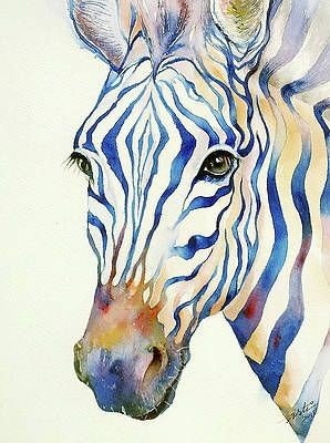 watercolor zebra.jpg