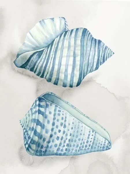 two H2O seashells.jpg