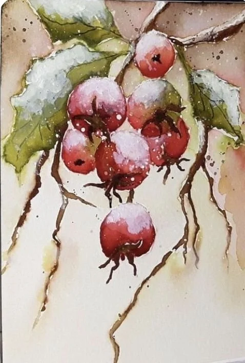h20 frosted berries.jpg