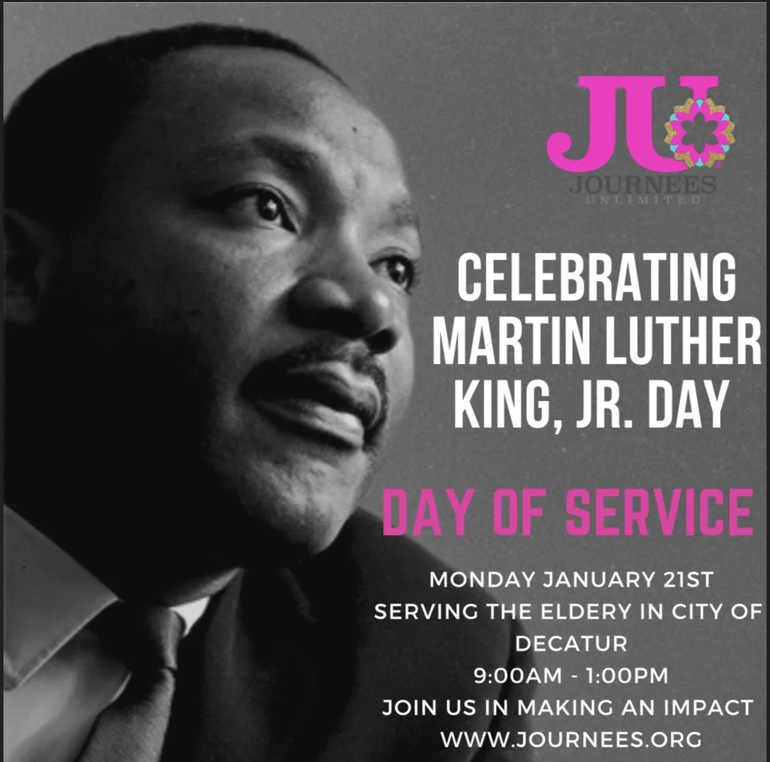 Martin Luther King  Junior Day Of Service