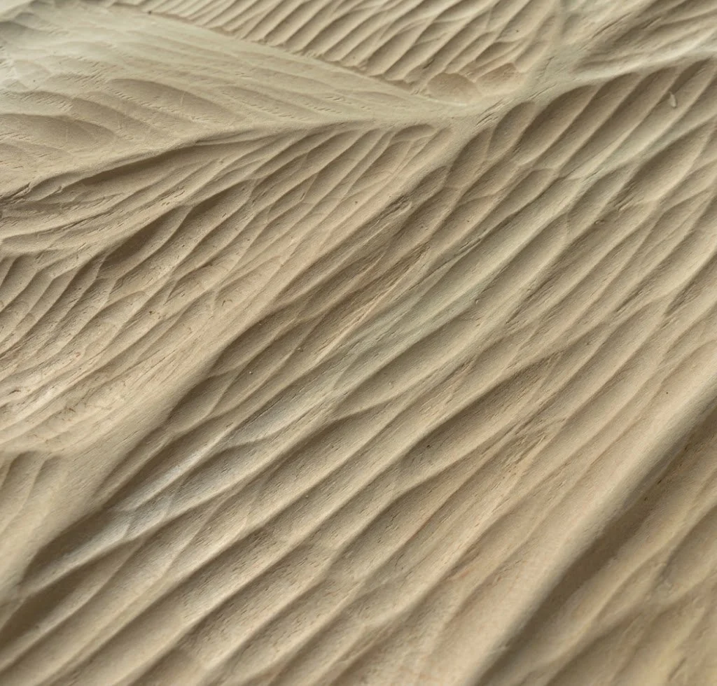 70bf71ab-1ac1-4239-9e16-6ff8ed2847cd.jpg