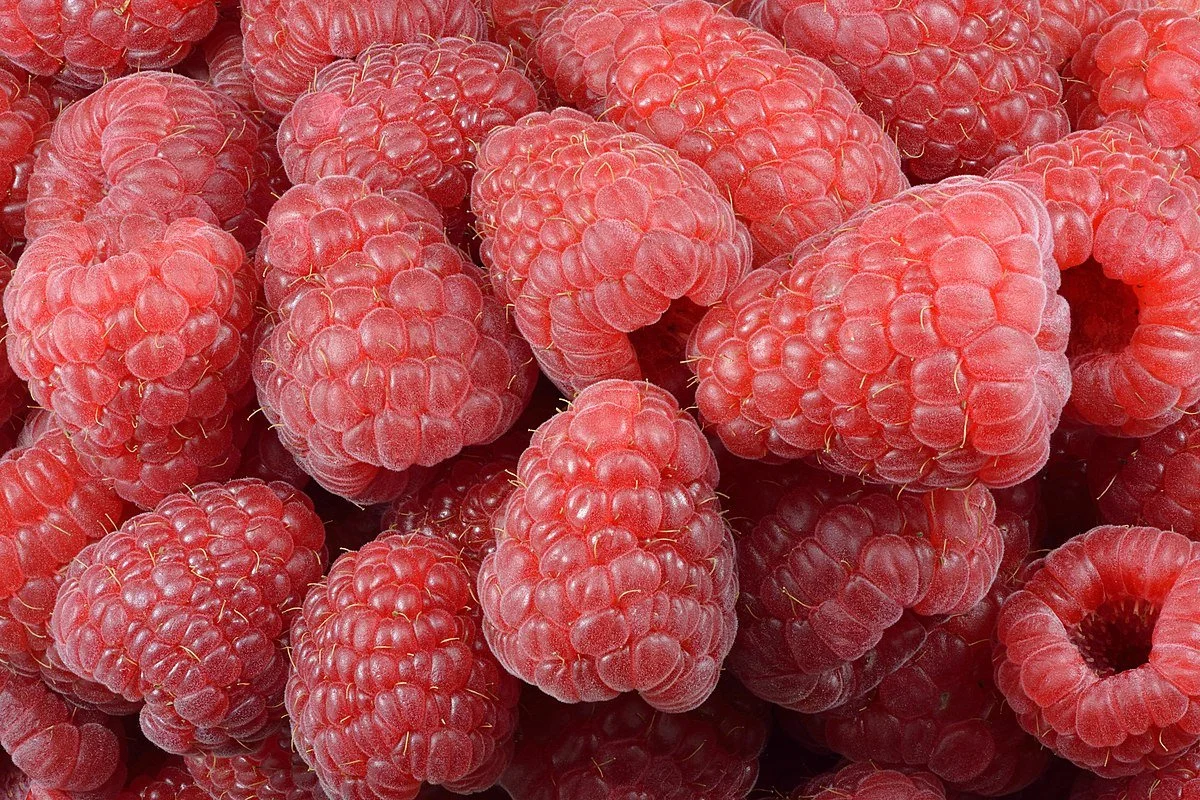 Fresh Small Raspberry Pack — BerryFresh