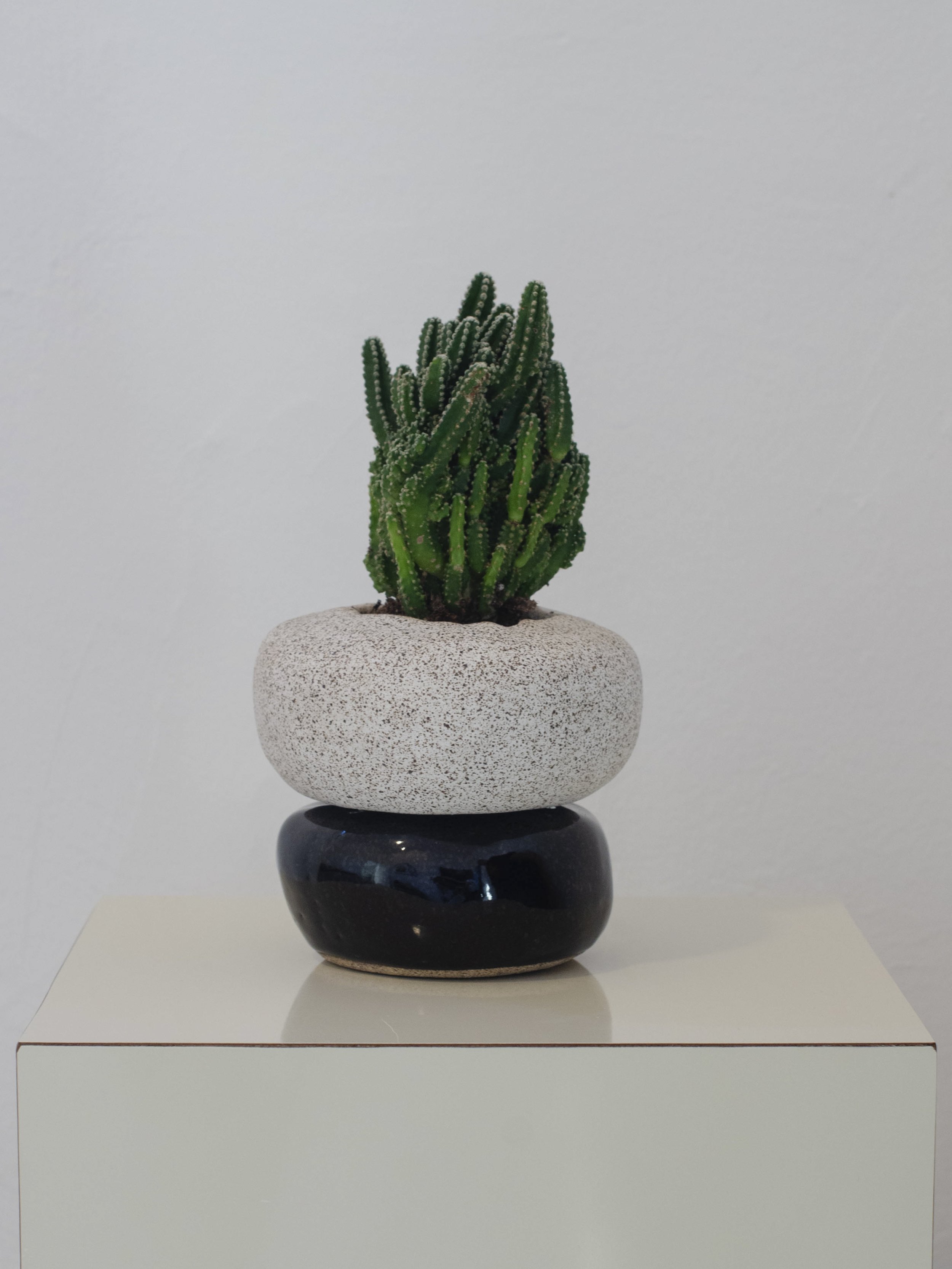 Image_Planters_002.jpg