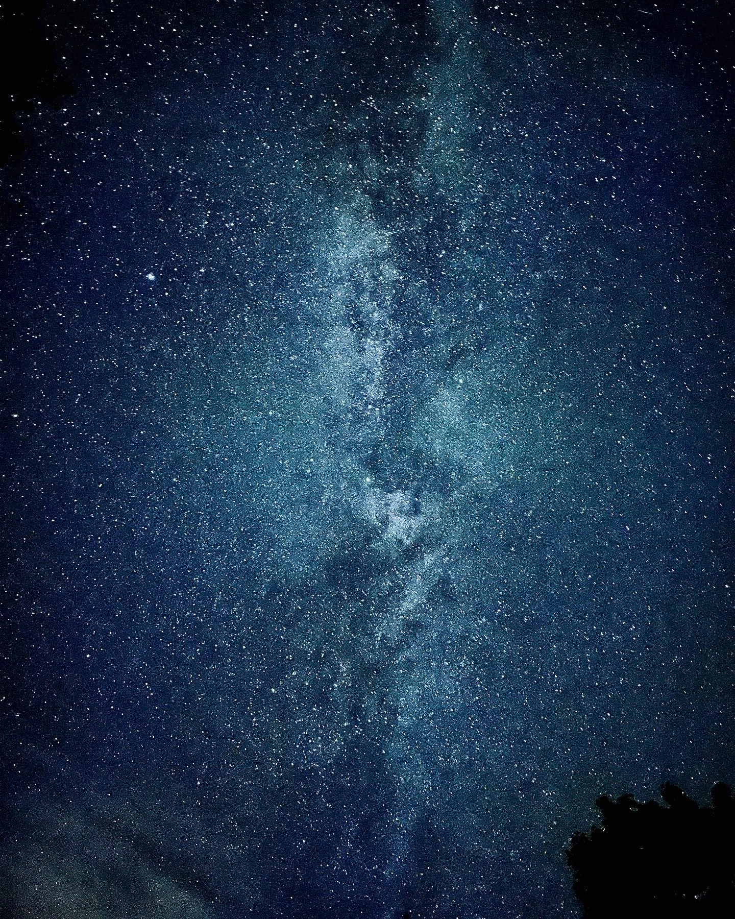 20B6C46A-C48B-498C-896A-C71D44F911F5.jpg