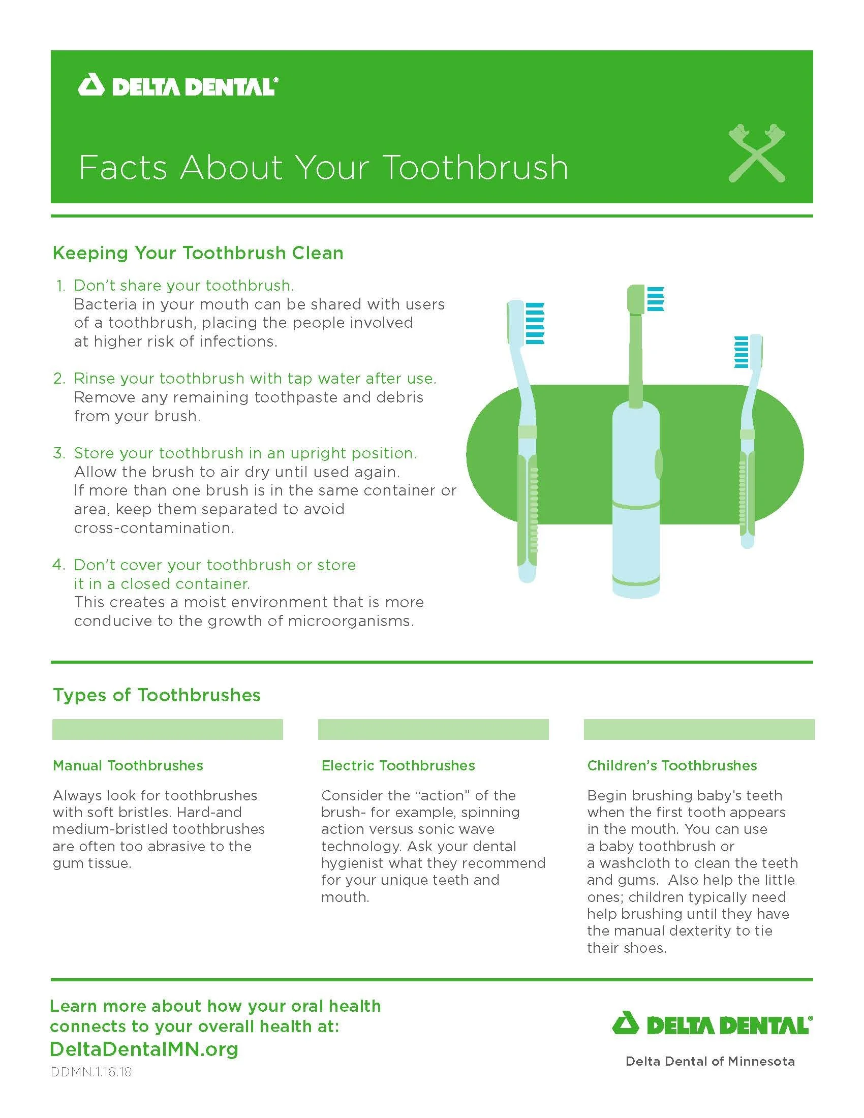 facts-about-your-toothbrush-mn.jpg