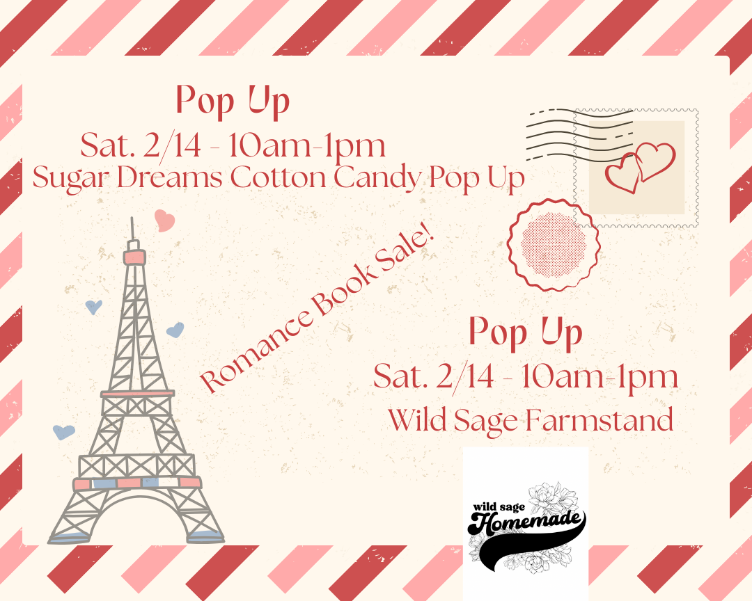 Valentine Day at the Bookstore