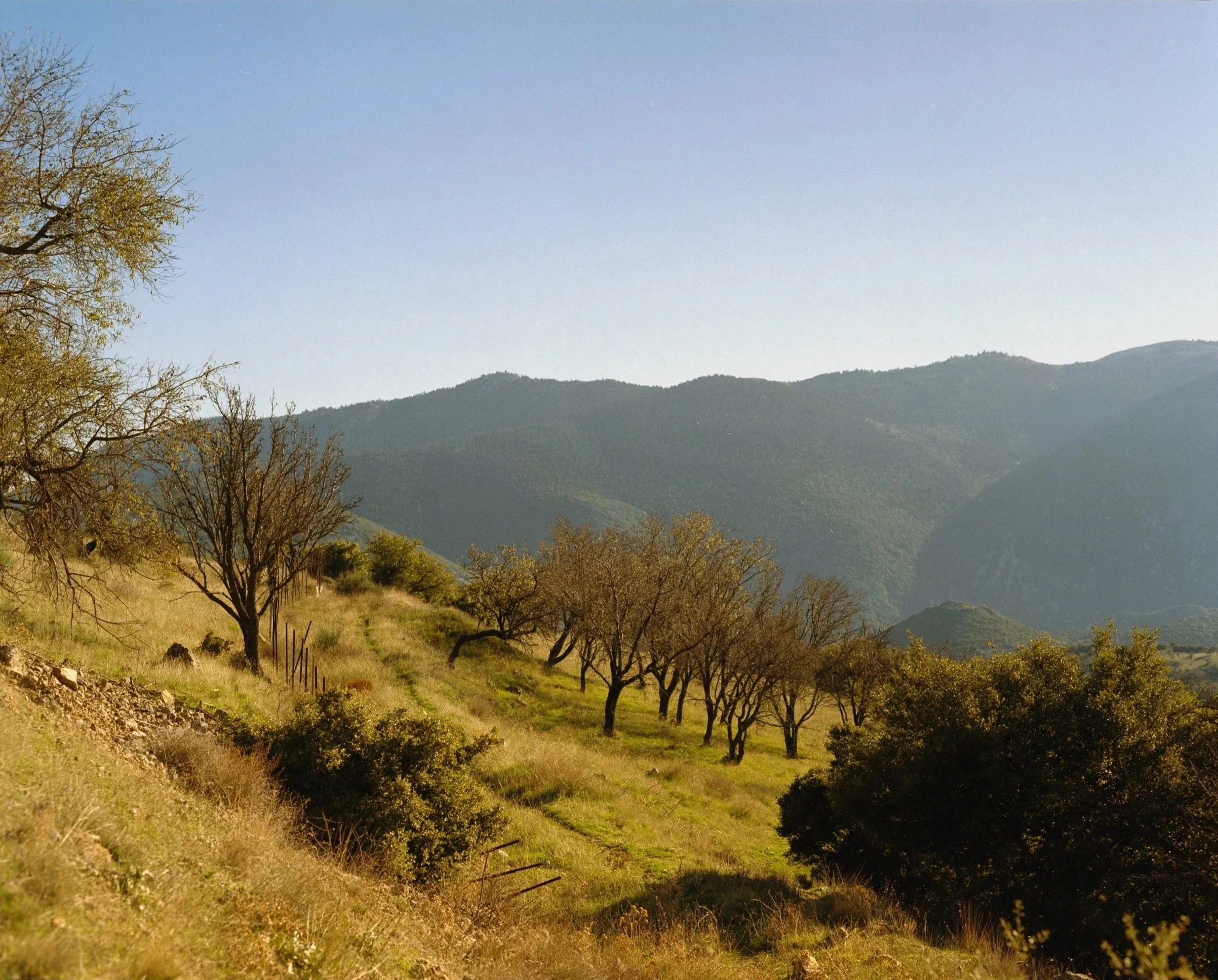 First photos upon arrival in Delphi Greece
