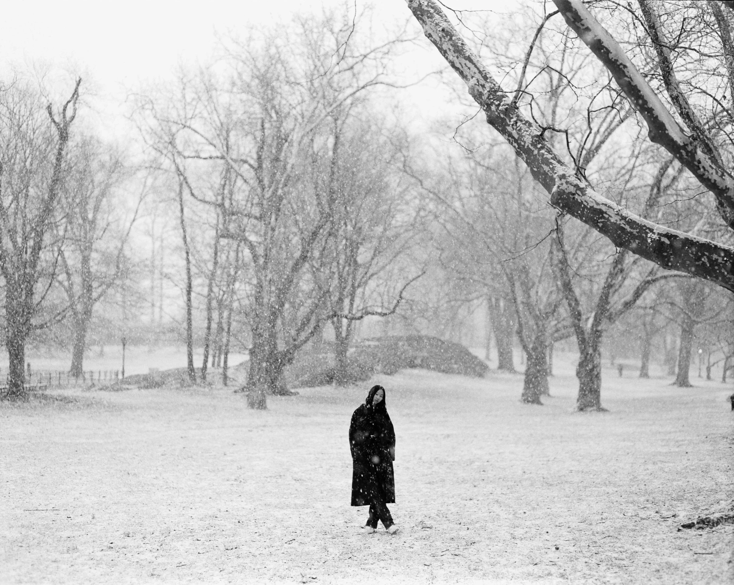 Emilie Su in a snowy Central Park