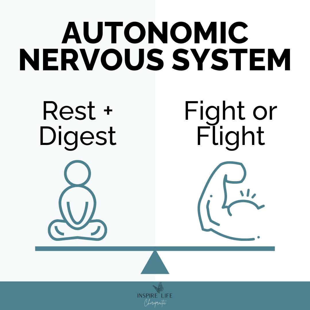 Is the parasympathetic nervous system the key to your child's chronic health struggles? 🤔 The parasympathetic branch of the nervous system is most susceptible to birth interventions and trauma such as forceps, vacuum extraction, c-section, and induc