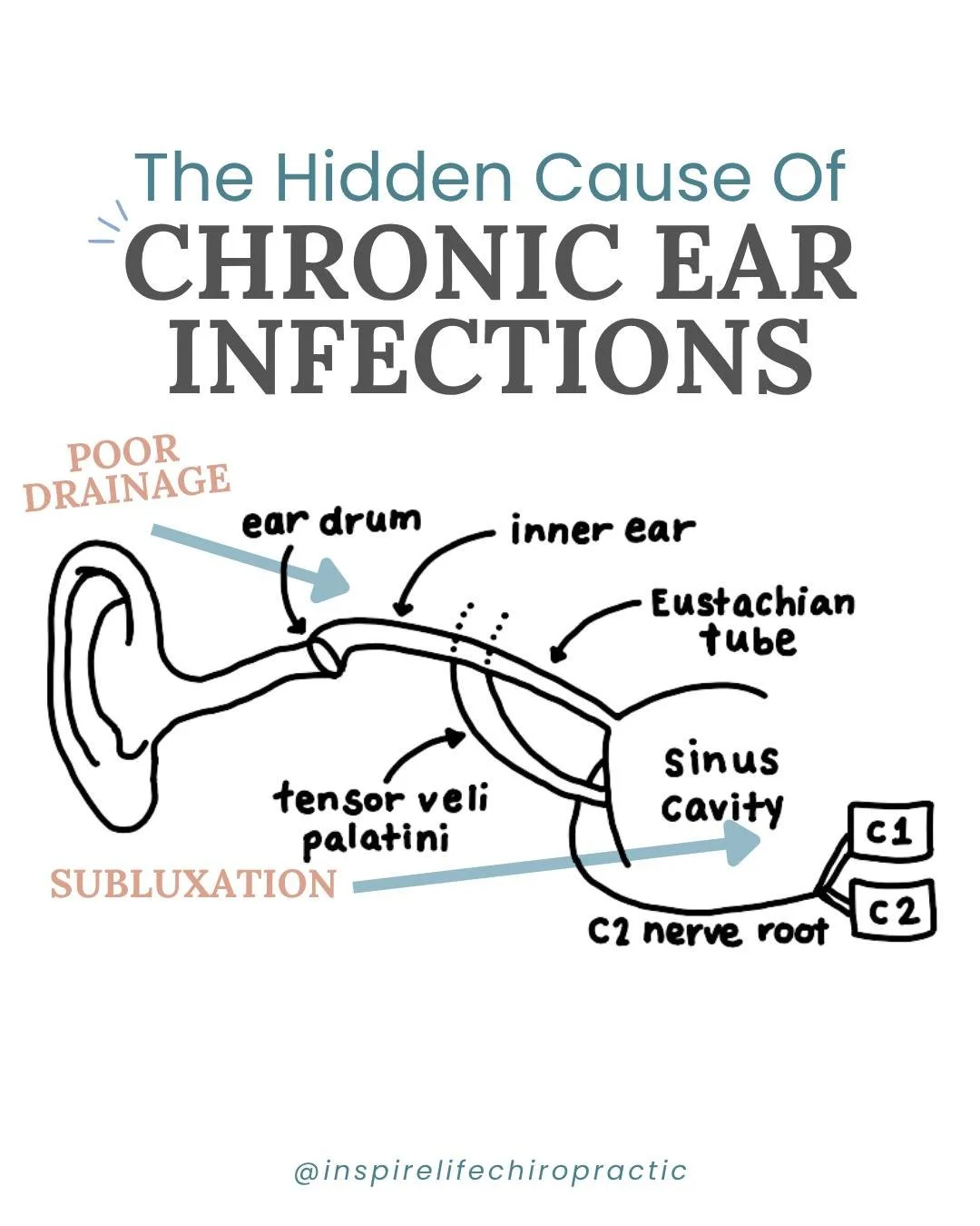 If your traditional pediatrician immediately hands you another prescription for an ear infection, RUN! According to the American Academy of Pediatrics, they now recommend a watch-and-wait approach due to the rare cases of a bacterial ear infection. A