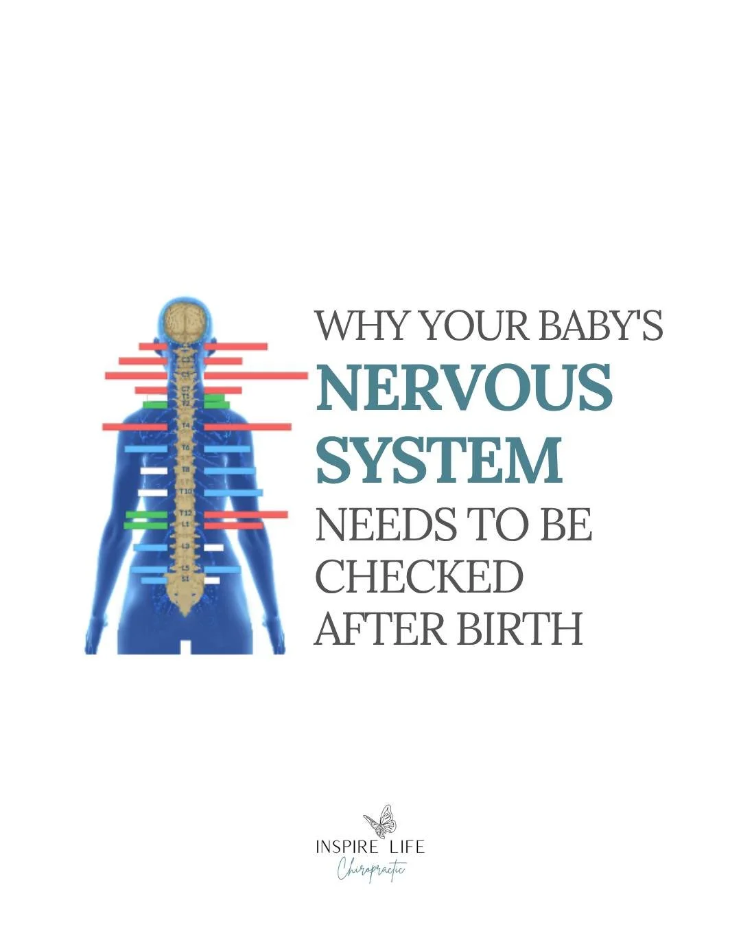Ready to get your baby's nervous system checked? Click the link in the bio to find out more and schedule their Neurological INSiGHT Scans! &hearts;️
#pxdocs  #TeamInspireLife #nervoussystemregulation #HealthyKidsHappyFamilies #ChiroCommunity