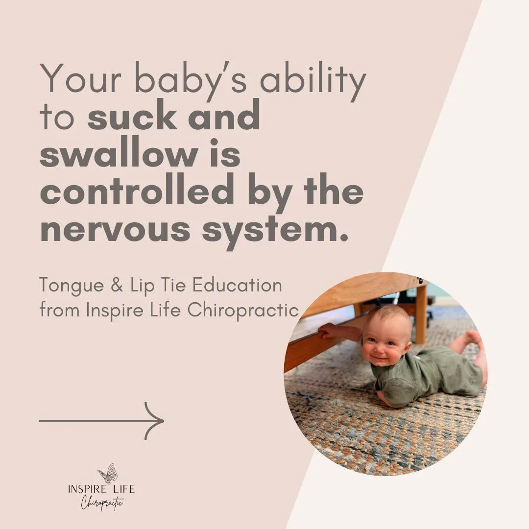Your baby&rsquo;s ability to suck and swallow isn&rsquo;t just about the mouth. It&rsquo;s about how the brain and nervous system are communicating with the body 🧠👶

The nervous system controls the tongue, jaw, throat, and breathing. When there is 