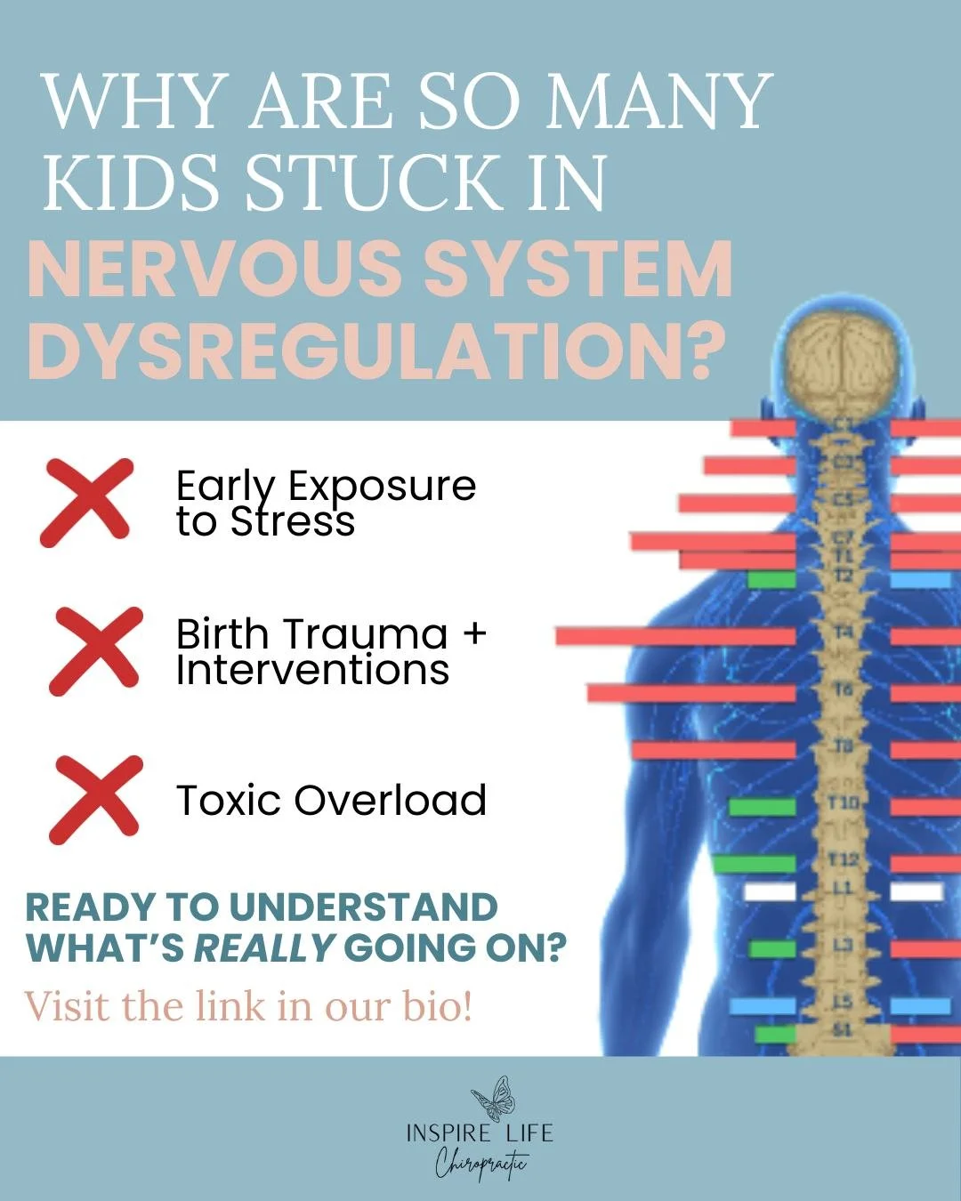 When we understand why the nervous system is struggling, we can support the body at the foundation instead of just chasing symptoms.

Neurologically Focused Chiropractic Care is designed to help the nervous system regulate and adapt again, gently and