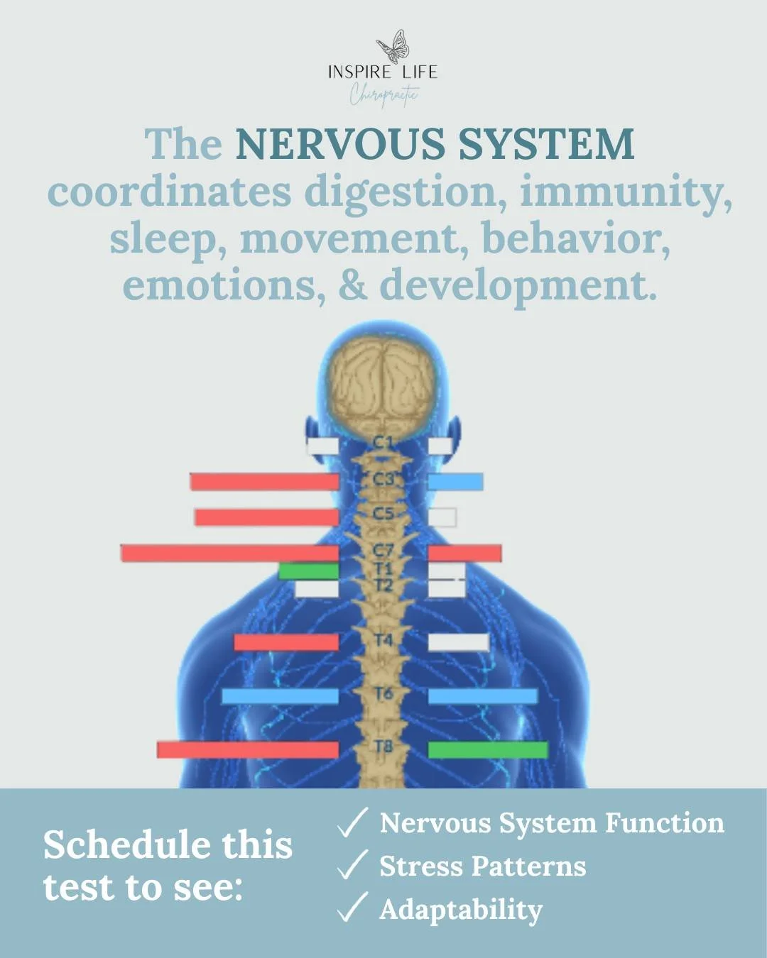 You know that feeling when you&rsquo;re told, &ldquo;Everything looks normal,&rdquo; but deep down you know something still isn&rsquo;t quite right with your child? 😔💭

Maybe it&rsquo;s restless sleep 😴
Digestion that always seems off 🤢
Big emoti