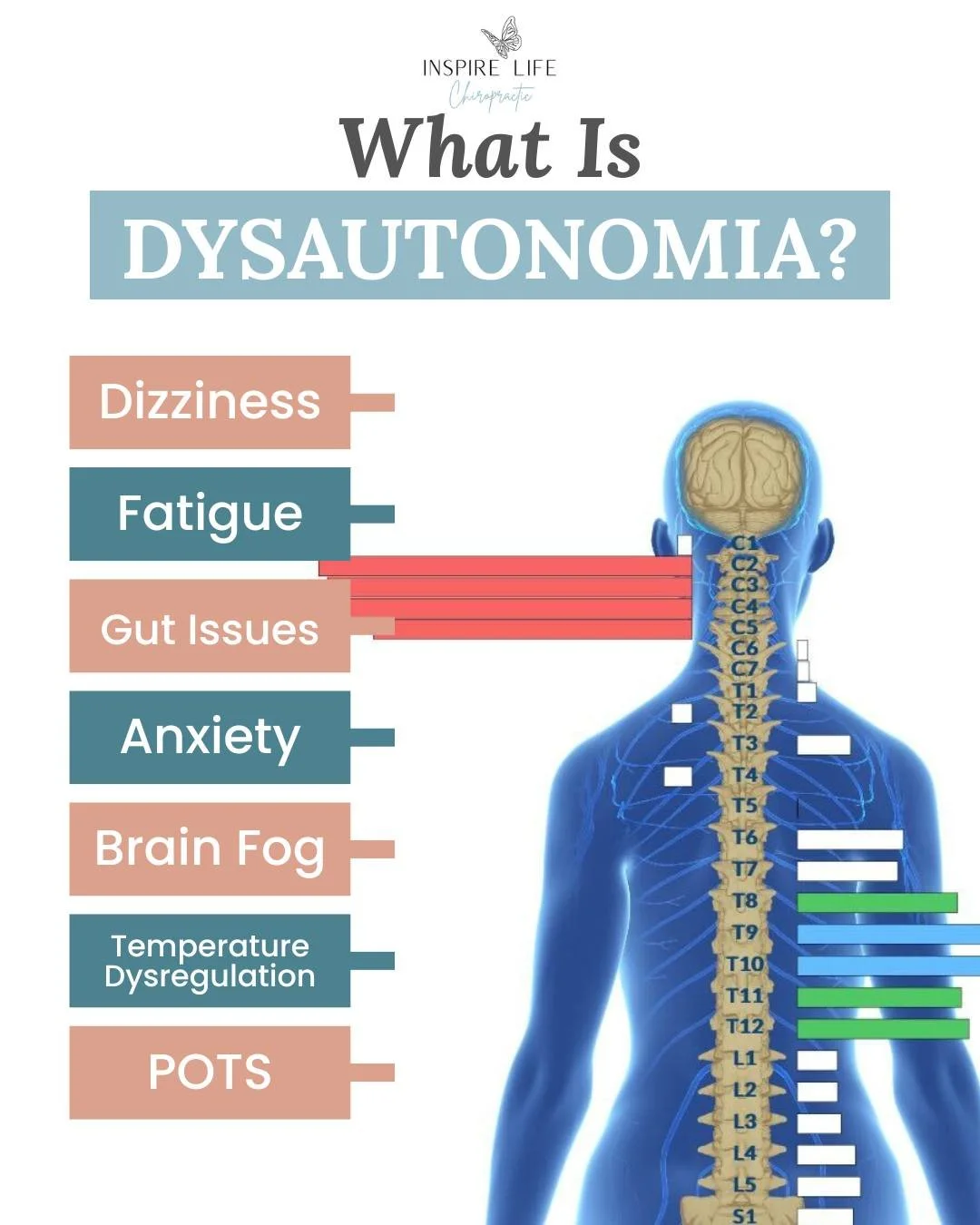 "Everything looks normal."

For many parents, that's one of the most frustrating things to hear when they know their child is still struggling. 🤔💚

Maybe it's fatigue, dizziness, headaches, anxiety, digestive challenges, poor focus, sleep