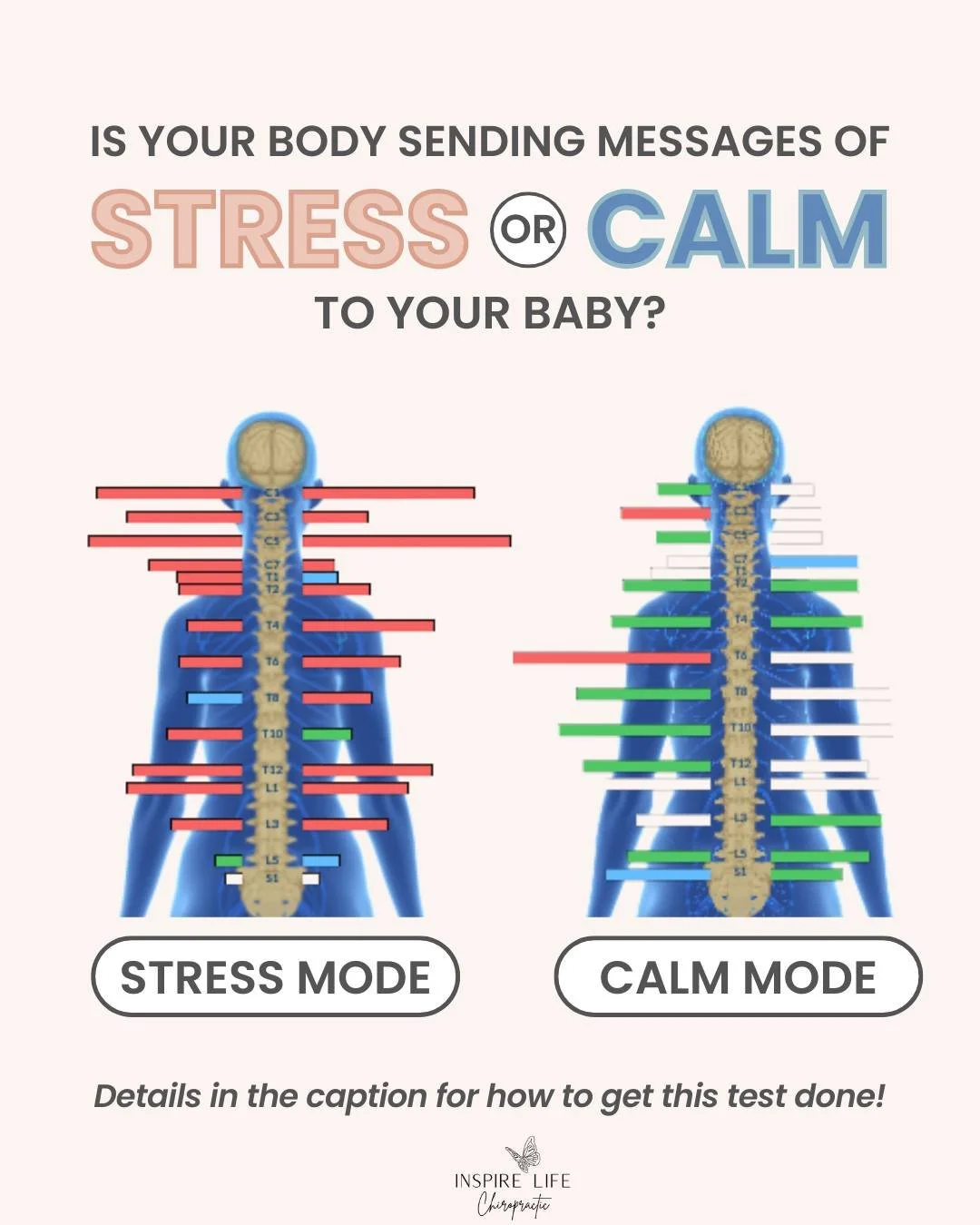 Pregnancy comes with enough to think about already. 🤍

The appointments. The to-do lists. The well-meaning advice. The excitement. The unknowns. You're growing an entire human while trying to keep up with everyday life. 🥹

But here's something many