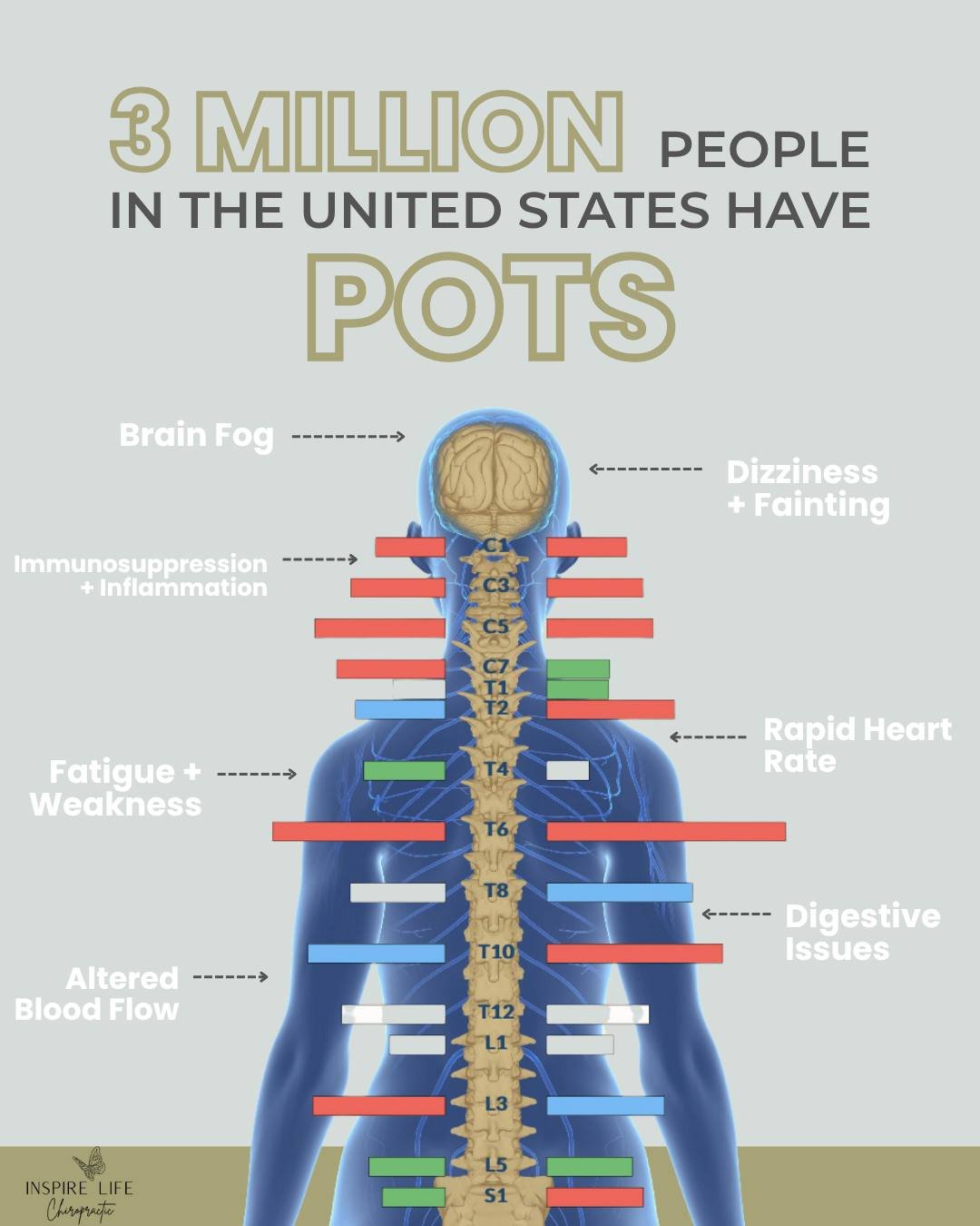 POTS affects more people than many realize, yet so many families have never even heard of it. 🧠

POTS, or Postural Orthostatic Tachycardia Syndrome, is a form of dysautonomia, meaning it involves the autonomic nervous system.

While an abnormal incr