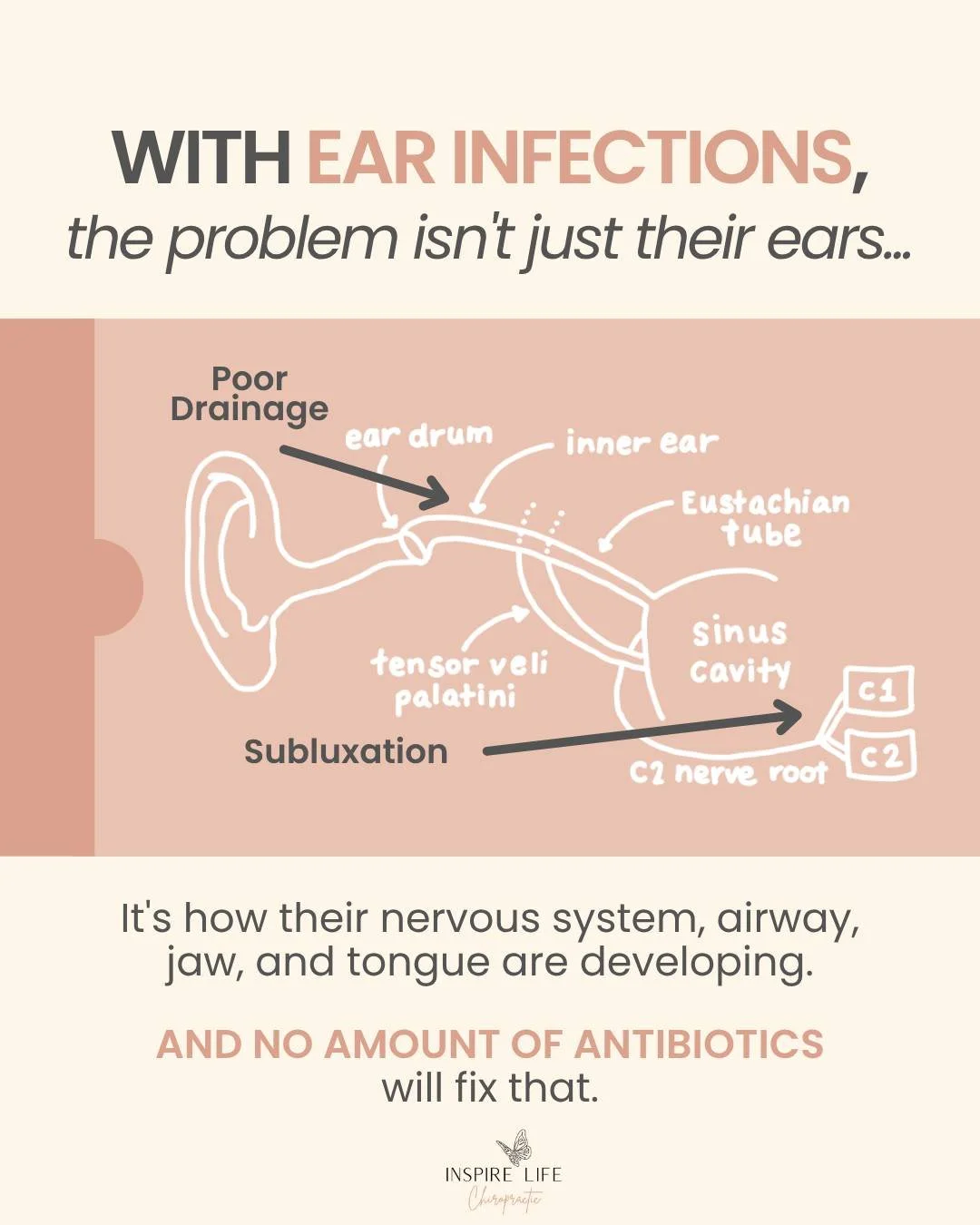 It's not just the ears.... The real problem also involves the nervous system, airway, jaw, and tongue!!!
And after that, it leads to upper respiratory infections and asthma. The list truly is never-ending! So before you reach for the antibiotics, let
