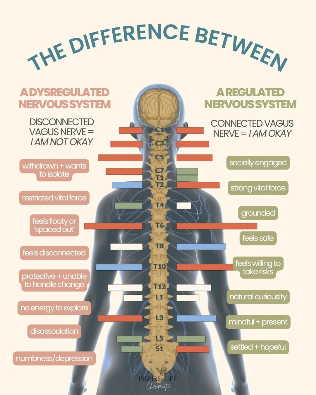 The difference between a regulated and dysregulated nervous system can show up in SO many parts of your child&rsquo;s day. 🤍

Maybe they&rsquo;re wired but exhausted, easily overwhelmed, struggling to wind down, or completely shutting down.

These c