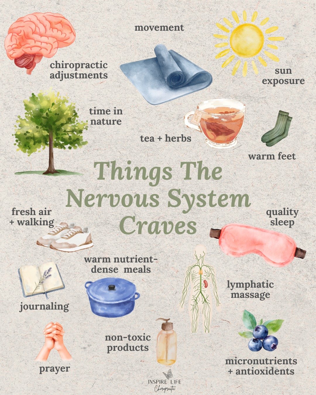 Is your nervous system craving any of these things? 😌
 #WellnessTips #nervoussystem #selfcare
