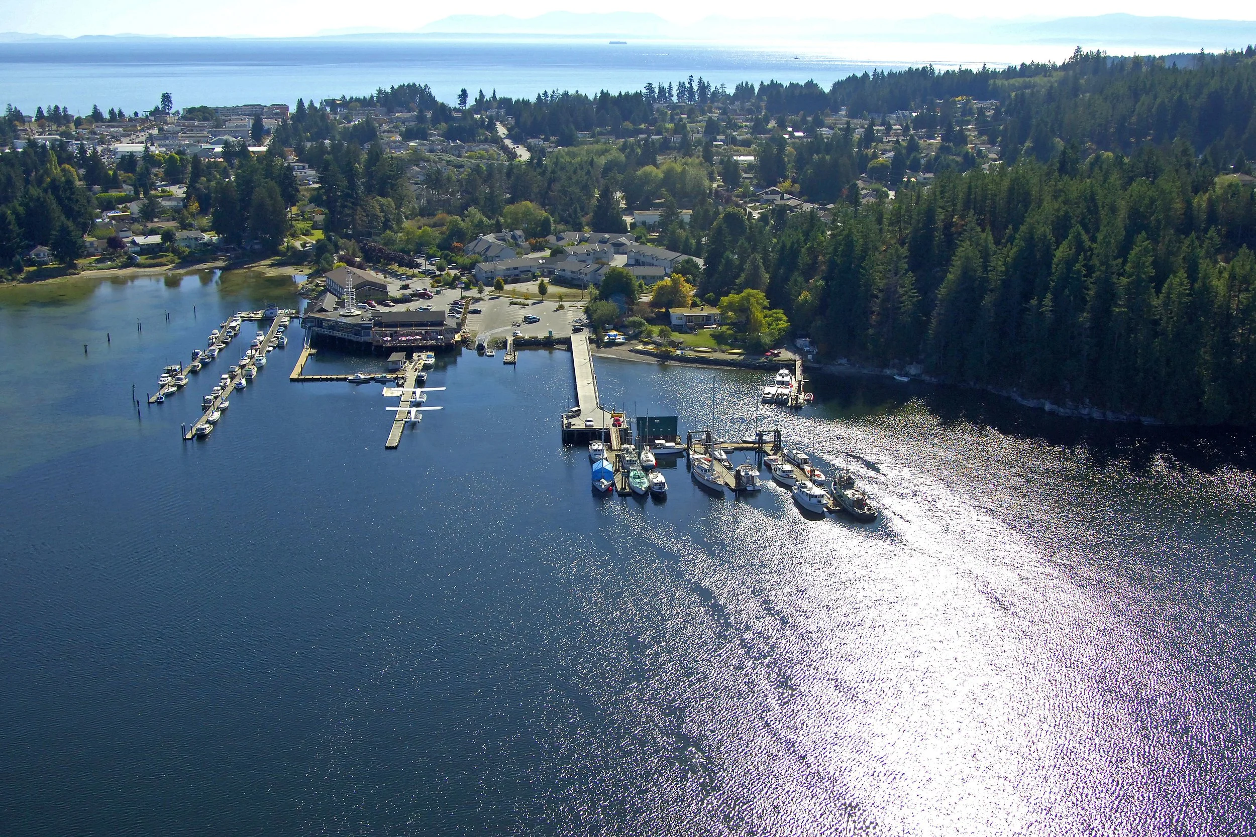 The Spot at Porpoise Bay