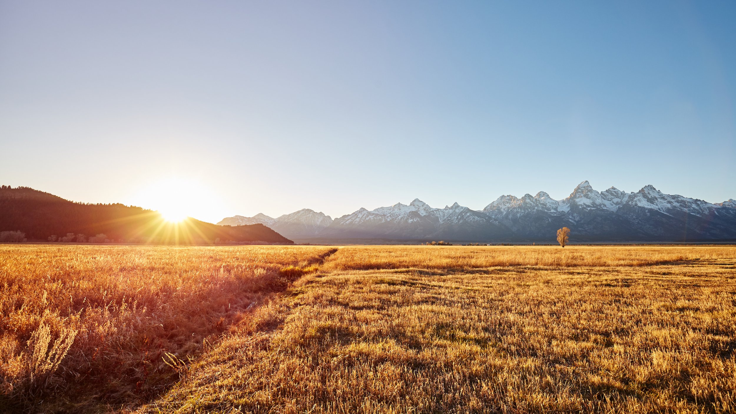 Collaborative Framework — Teton Climate Action Partnership