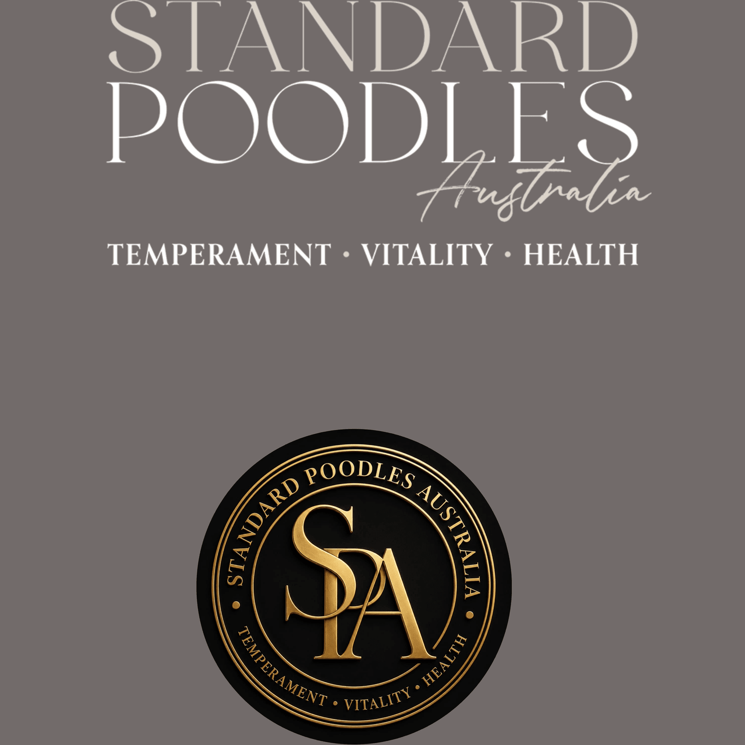 Standard Poodles Australia