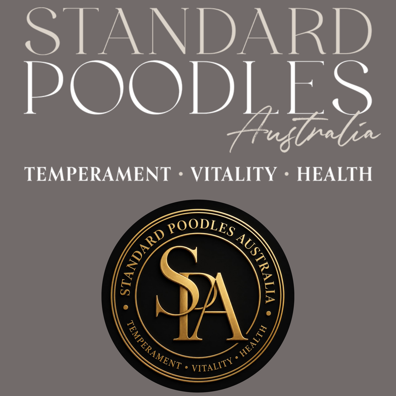Standard Poodles Australia