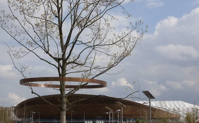 Art History Trees 1.JPG