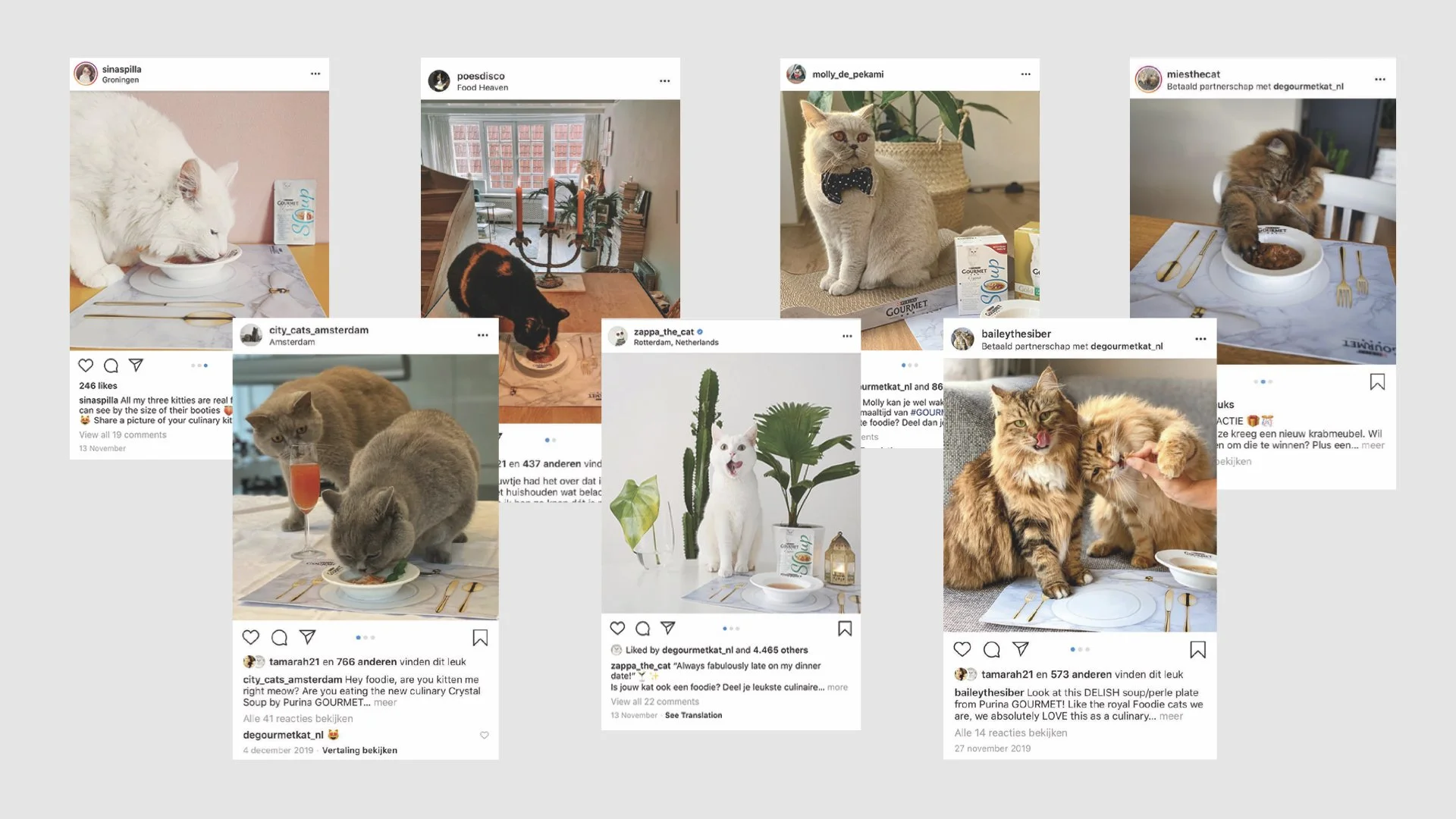 Catfluencers in action