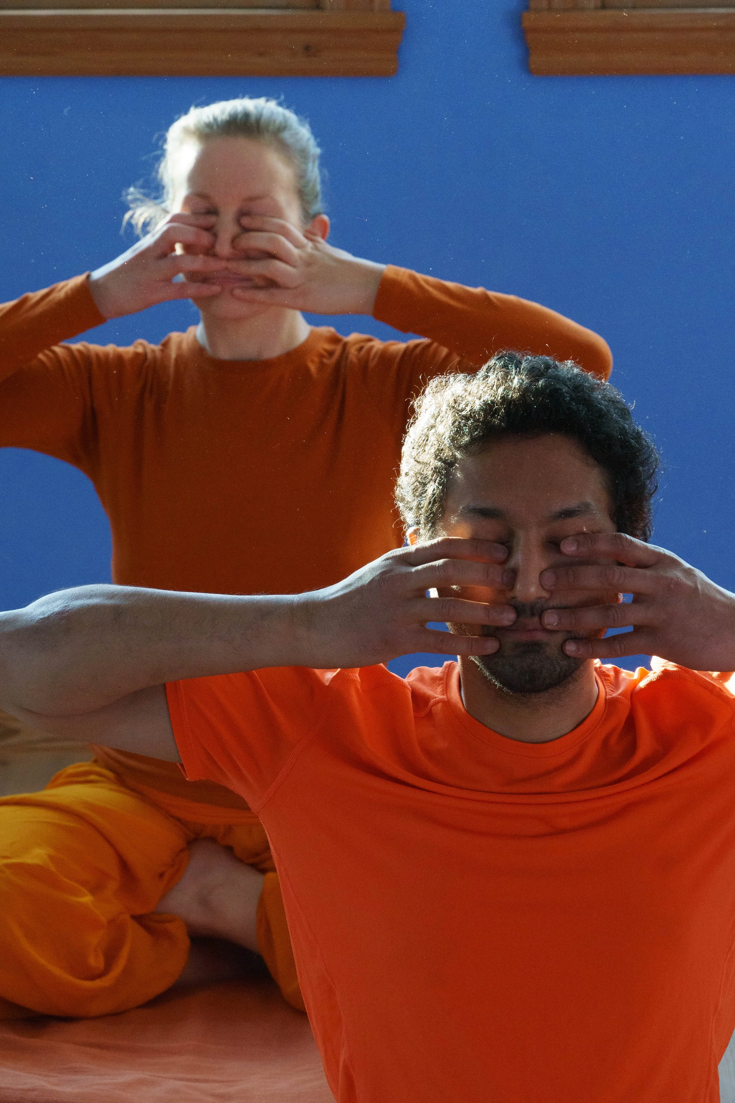 Online Yoga for the Experienced
