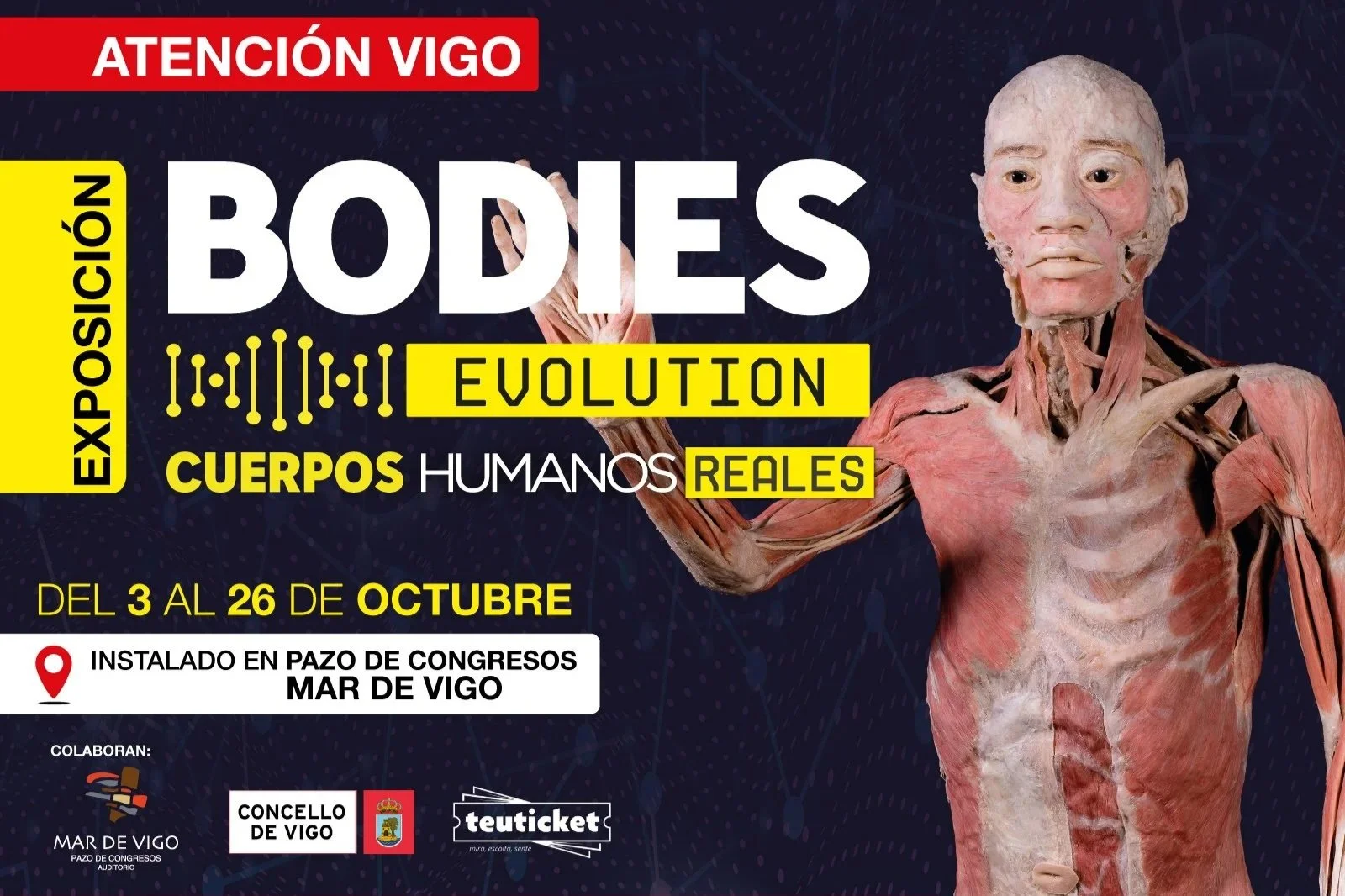 BODIES EVOLUTION