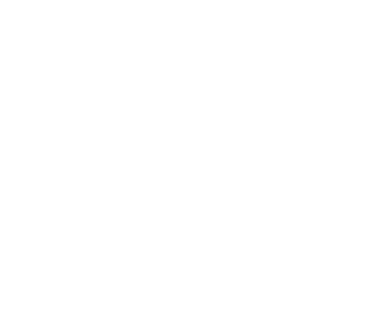 Coach Ally