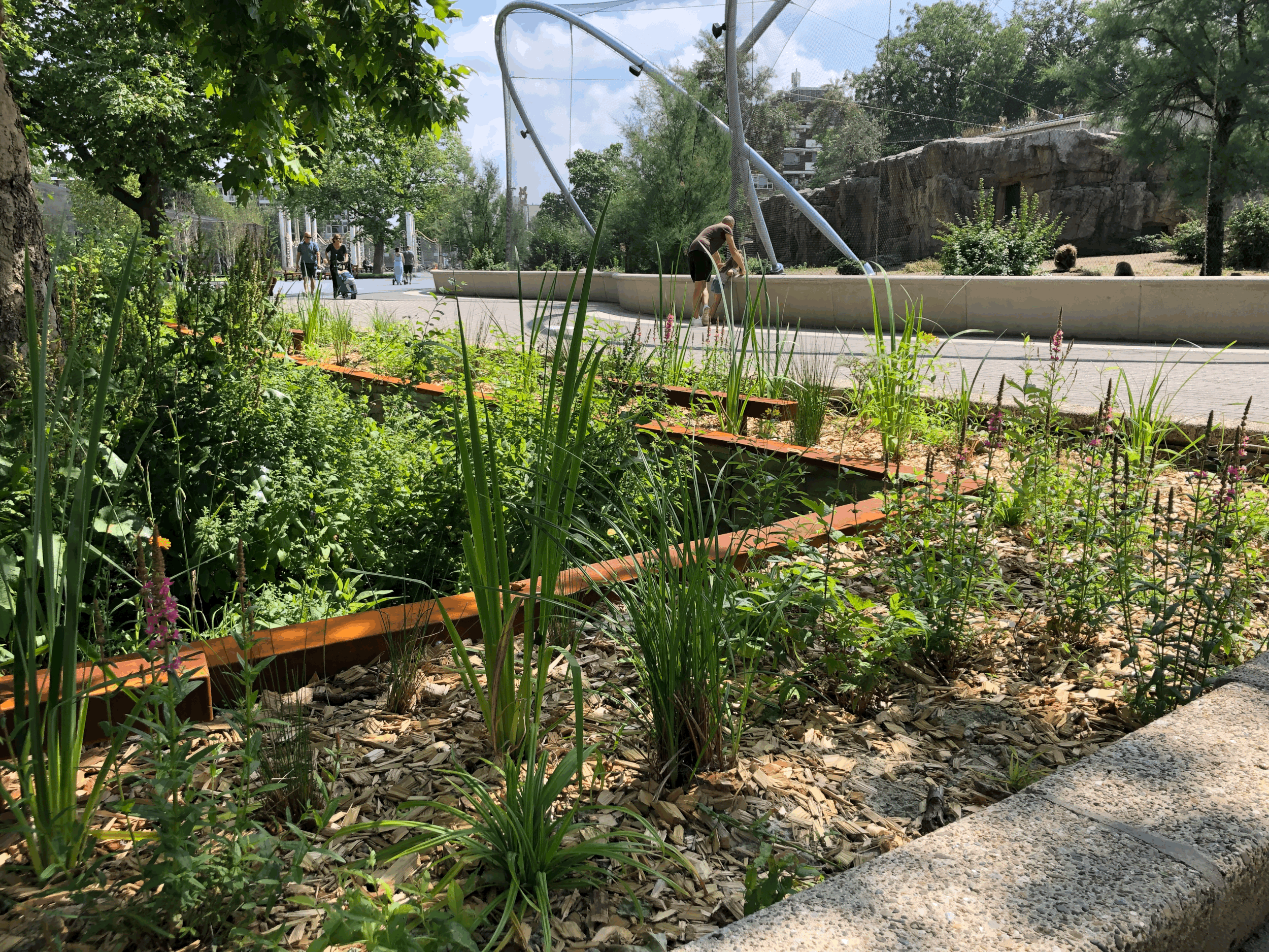 Circulair watersysteem Diergaarde Blijdorp, Rotterdam