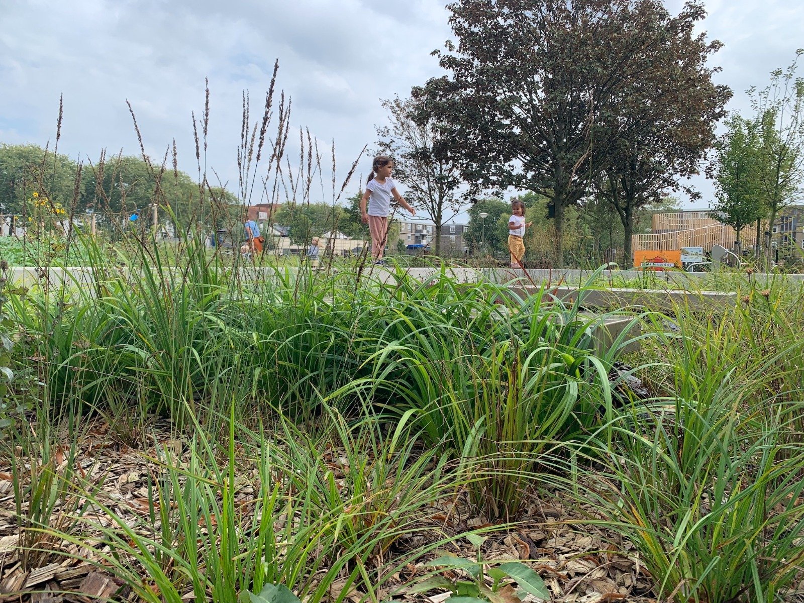 Urban Waterbuffer en Cromvlietpark, La Haya