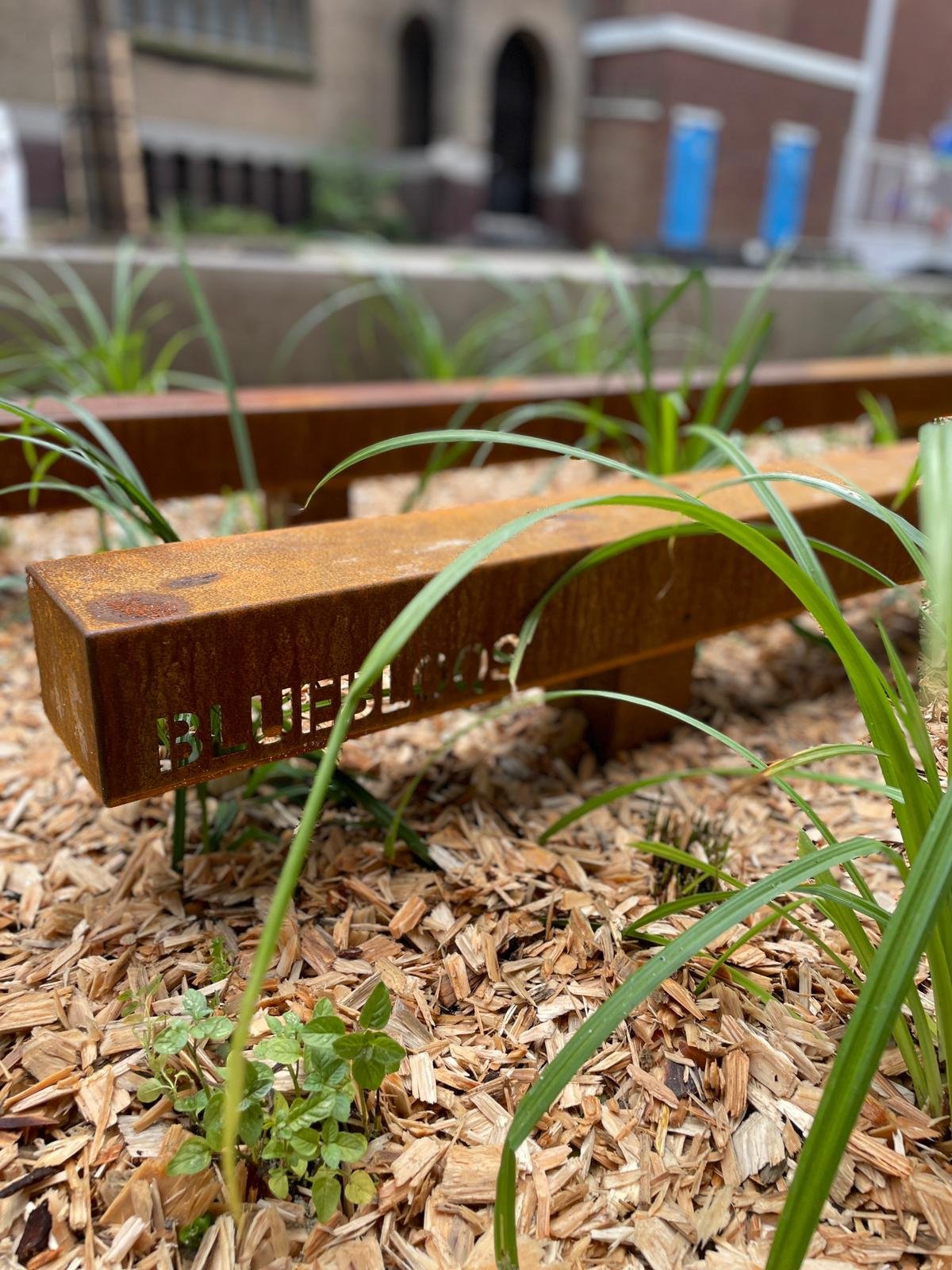 Urban Waterbuffer Robert Fruinstraat, Rotterdam