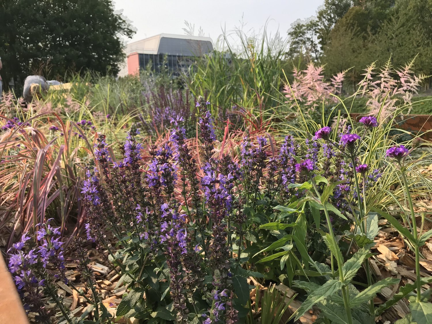 BlueHub op het Hitteplein