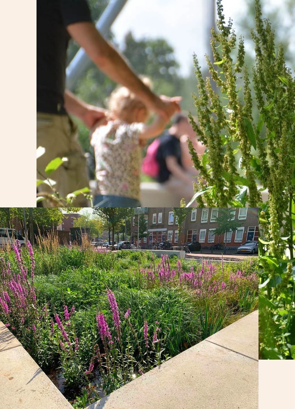 FieldFactors - Revolutionary rainwater treatment storage technology