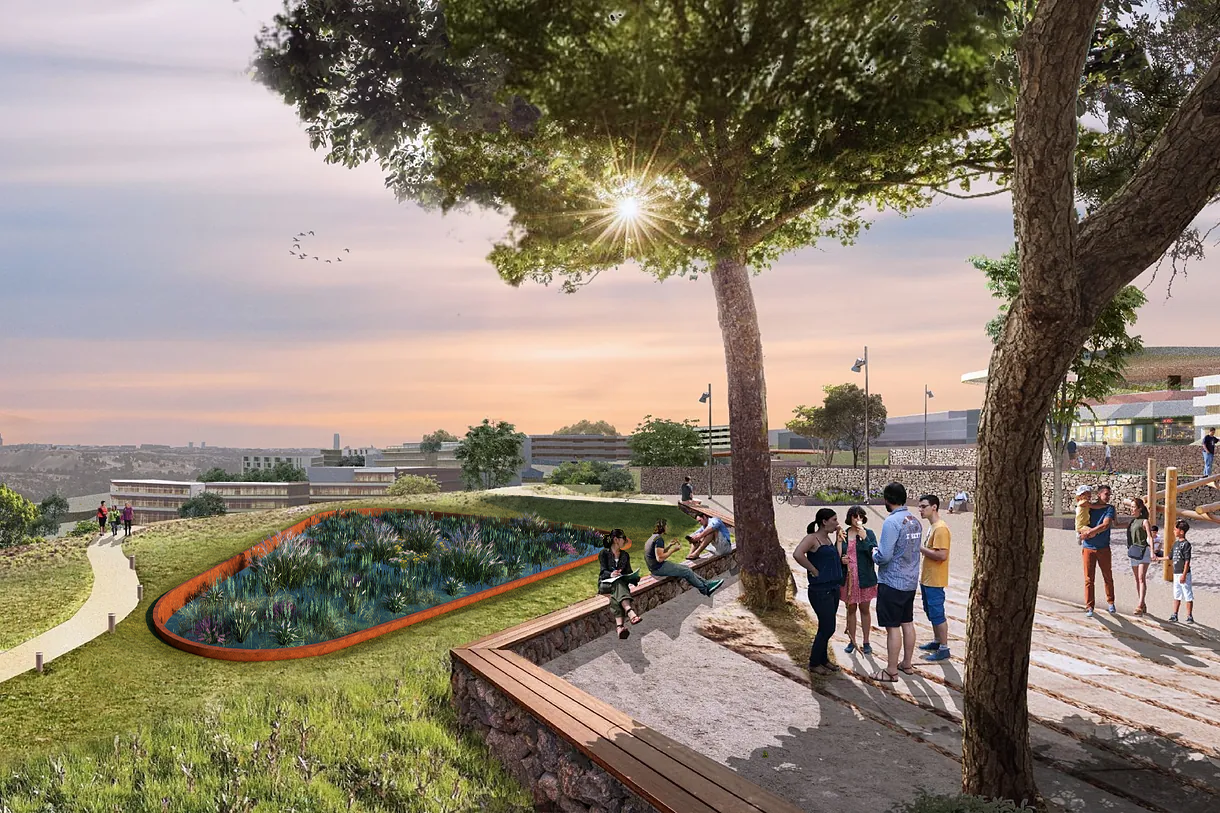 Microsoft and Madrid turn stormwater into a reliable source to restore urban streams