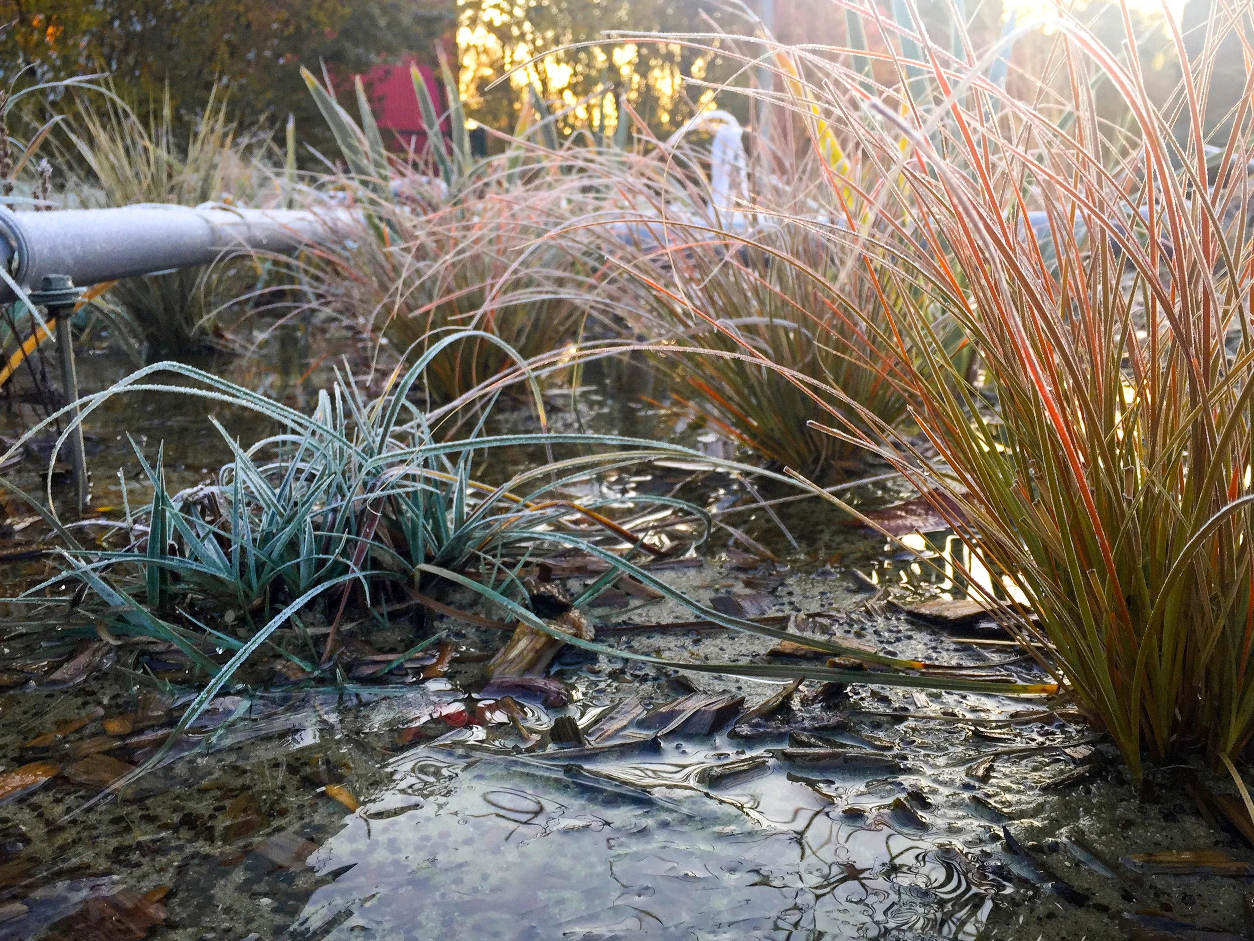 Aquafin proves rainwater can be safely treated at neighborhood scale in Flanders, Belgium