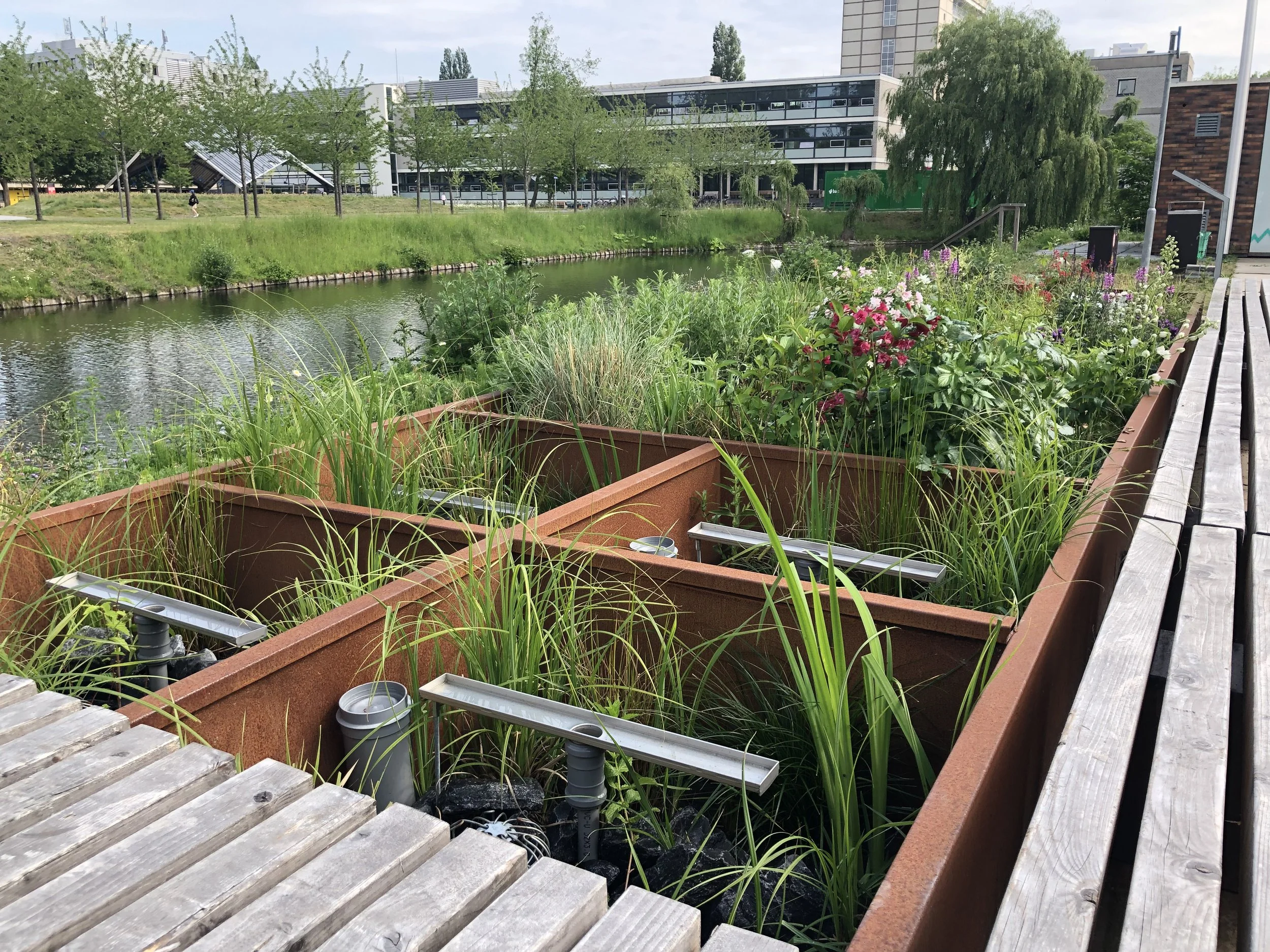 TU Delft tests climate-resilient water solutions under real urban conditions