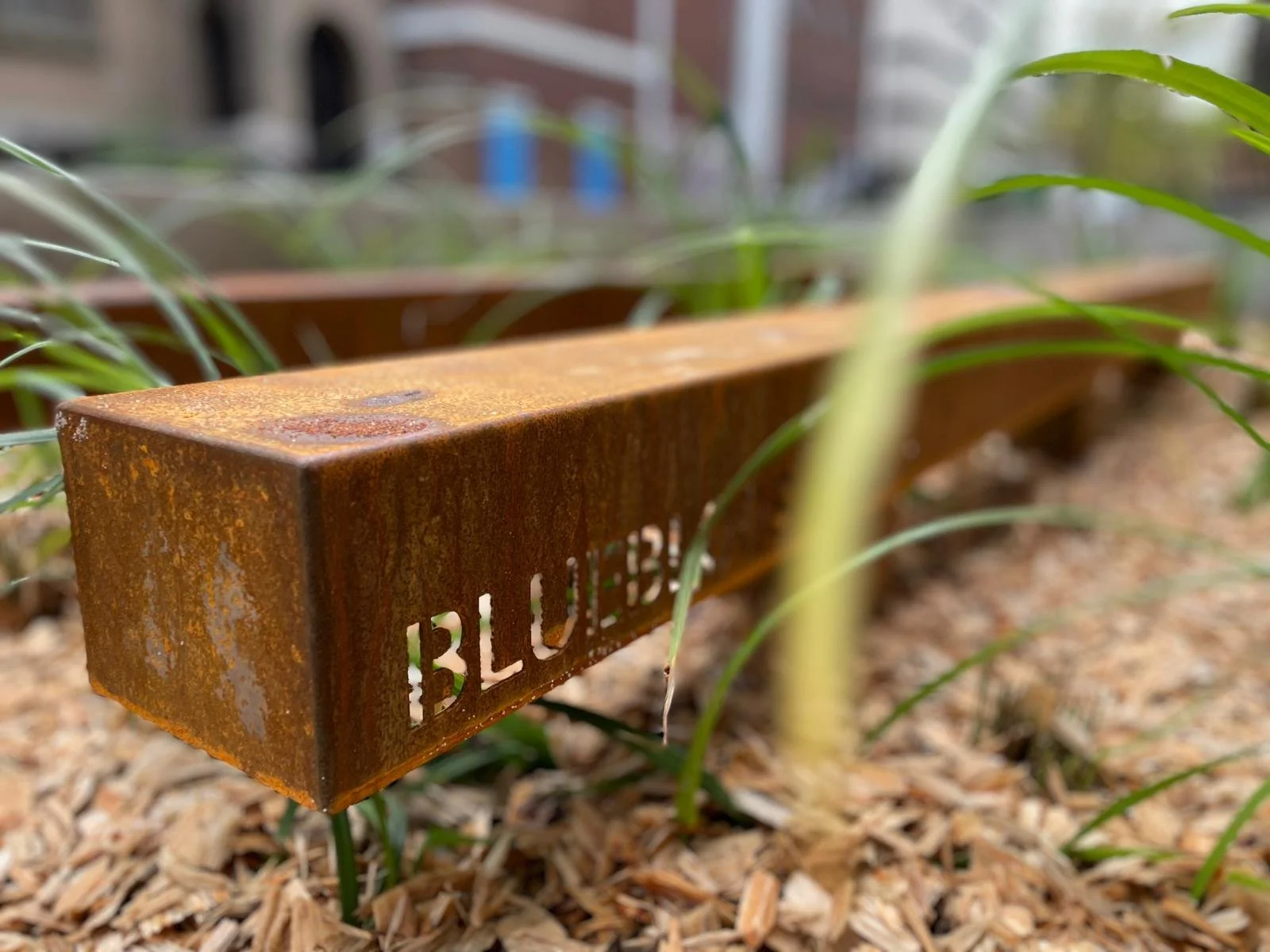 Rotterdam turns a city street into an underground freshwater reserve
