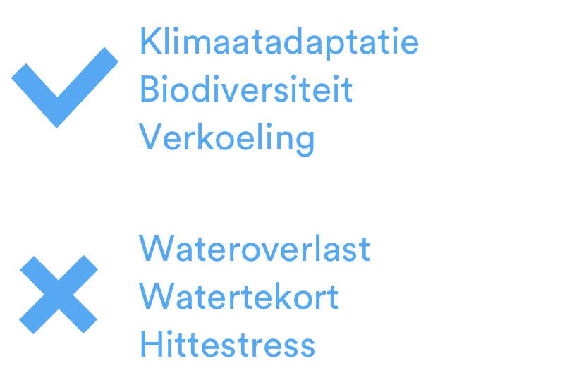 BlueBloqs: Meer mitigatie, koeling, groene ruimtes - Minder overstromingen, droogtes, hittestress