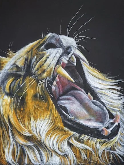 Loud and Clear_Yvonne Marshall-Jane.jpg