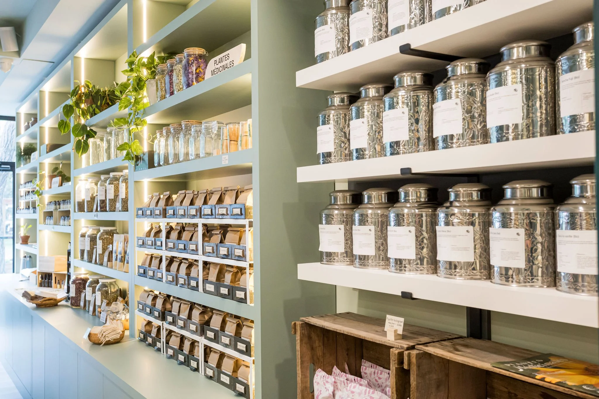 250704_IndeeDesign_Herboristerie-38.jpg